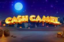 Play online Cash Camel