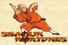 Play online Shaolin Fortunes