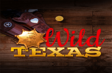 Play online Wild Texas